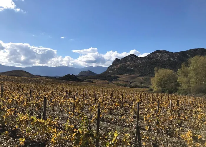 A Casa Di Pia 住宿加早餐酒店
