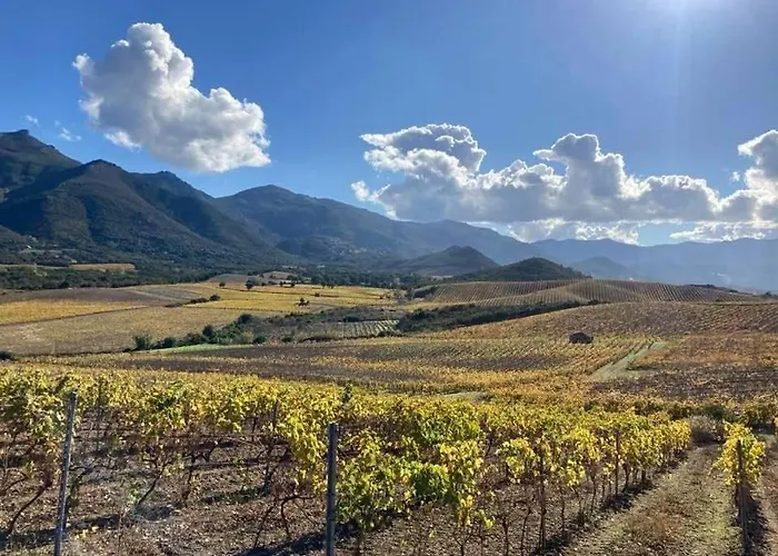 A Casa Di Pia 住宿加早餐酒店 Olmeta-di-Tuda